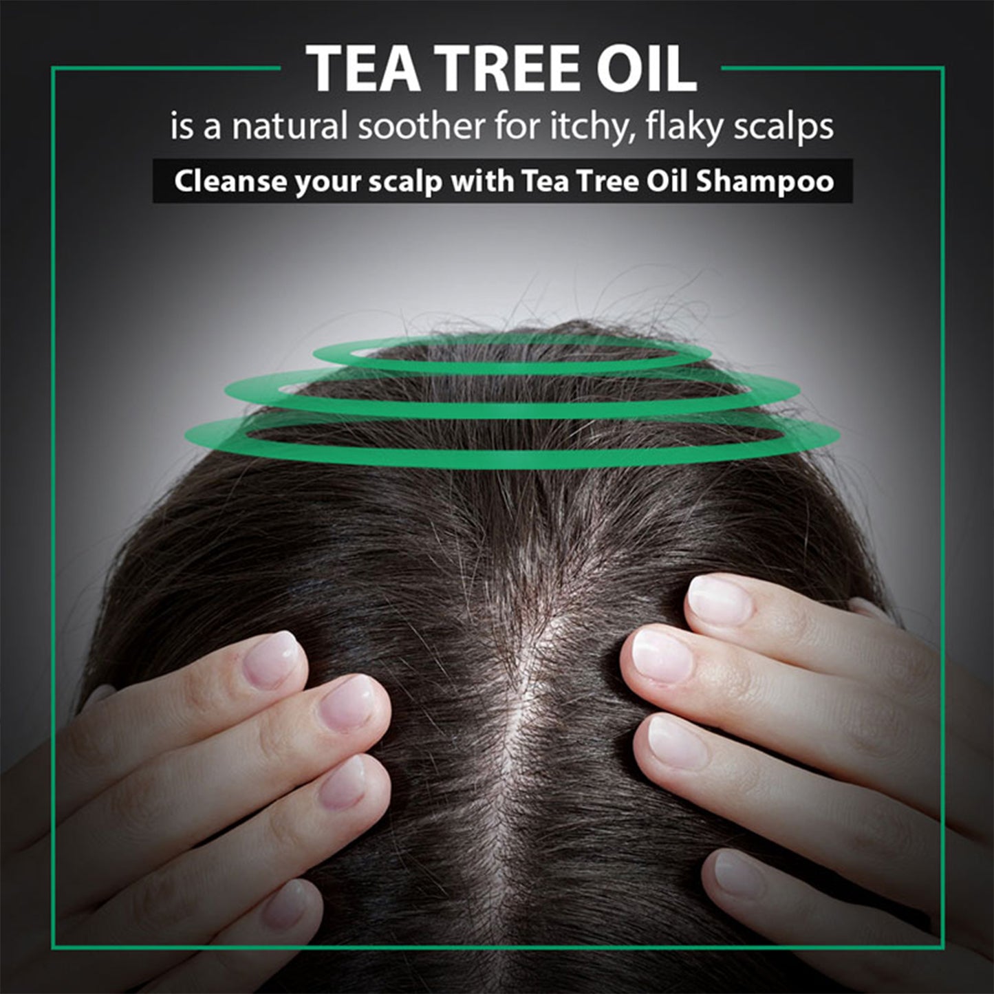 de fabulous tea tree oil shampoo-250 ml