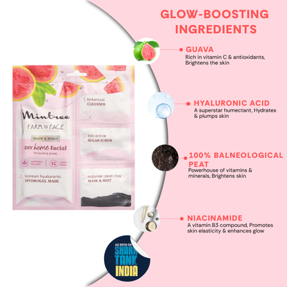 Mintree GUAVA DIY Facial Kit