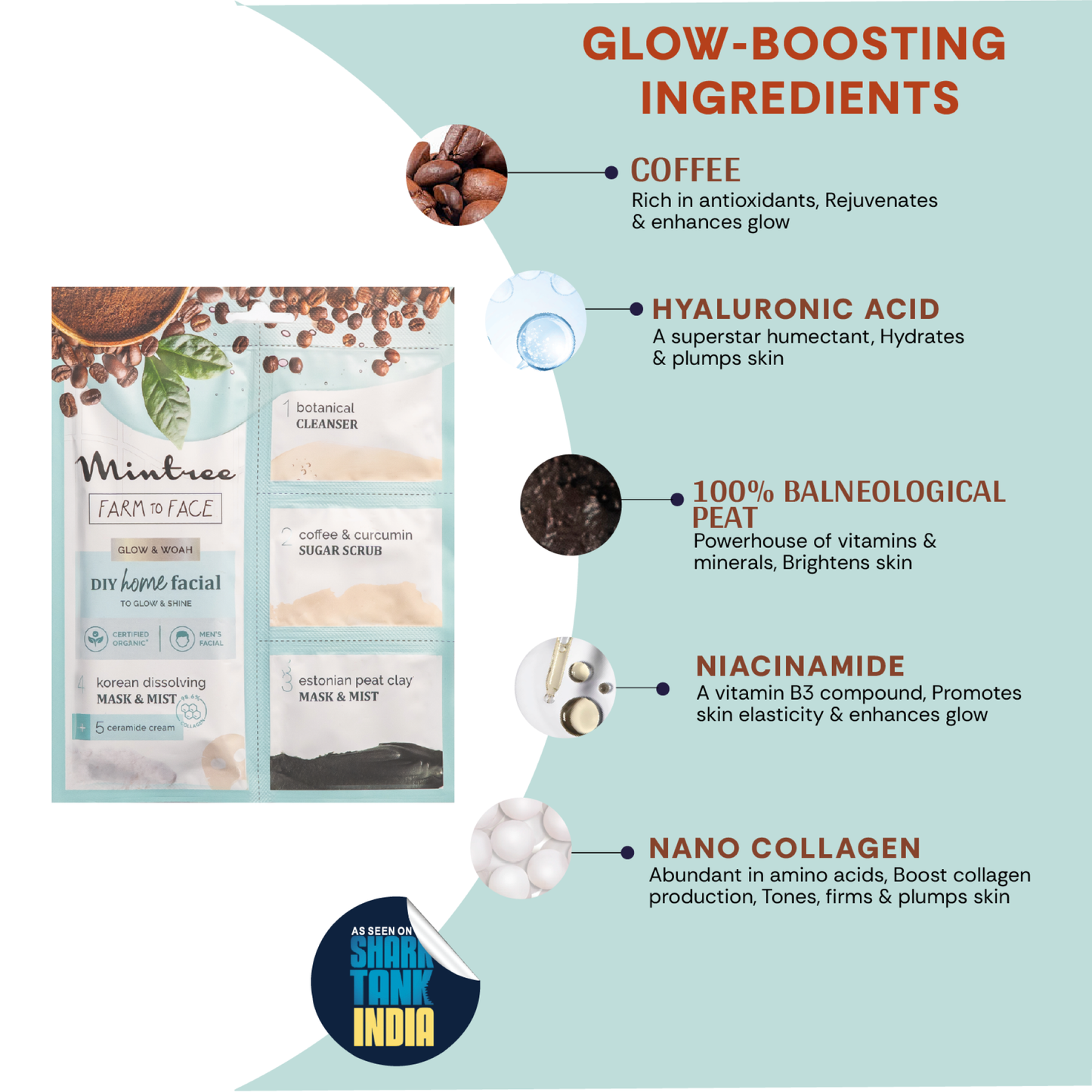 mintree coffee diy facial kit
