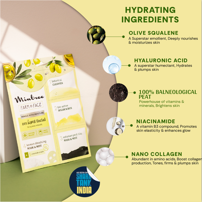 Mintree OLIVE DIY Facial Kit