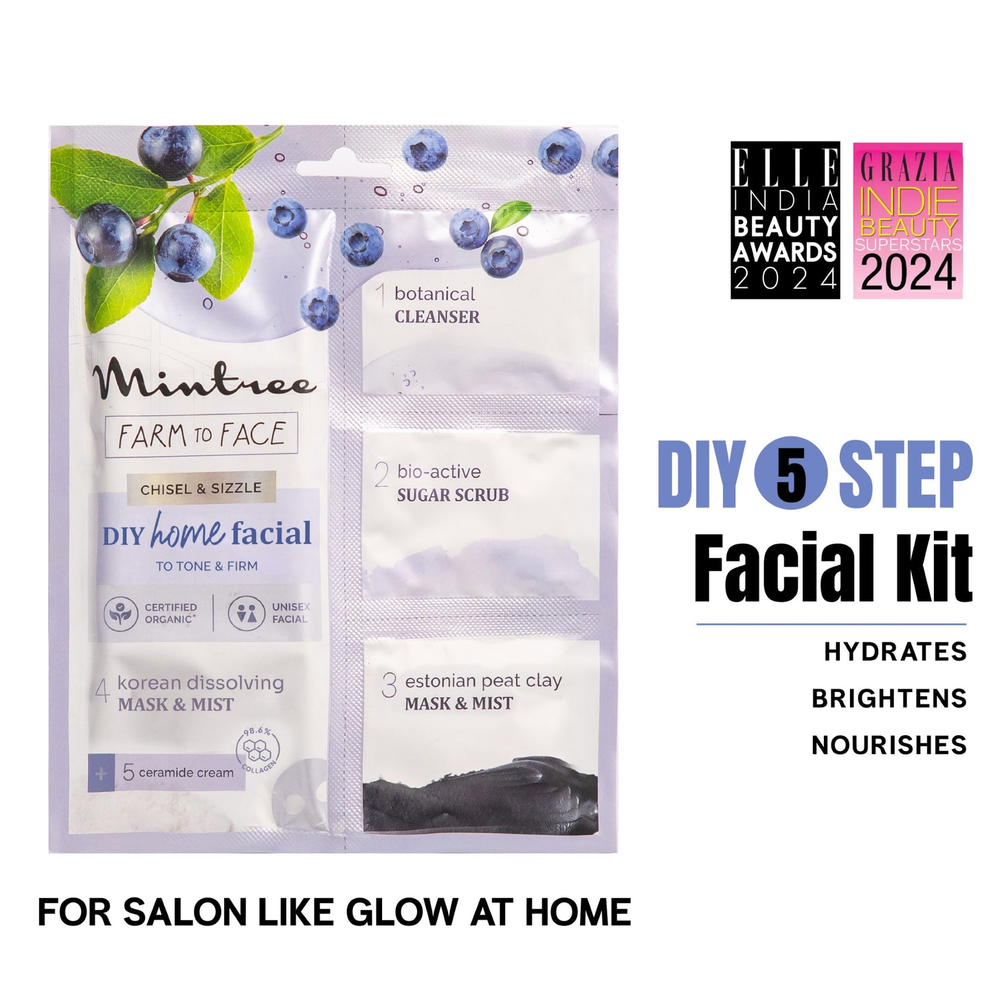 mintree blueberry diy facial kit