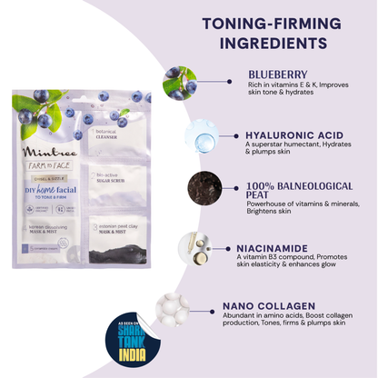 Mintree BLUEBERRY DIY Facial Kit
