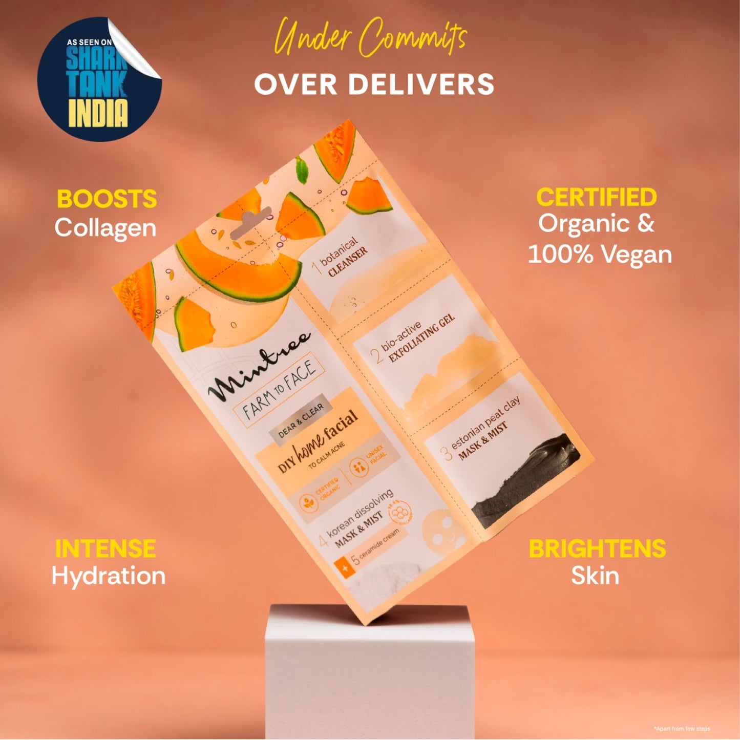 mintree muskmelon diy facial kit