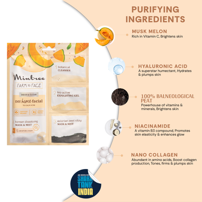 Mintree MUSKMELON DIY Facial Kit