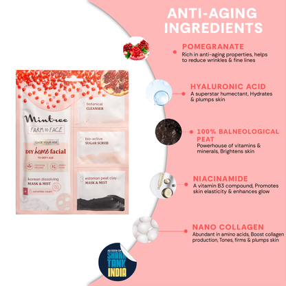 Mintree POMEGRANATE DIY Facial Kit