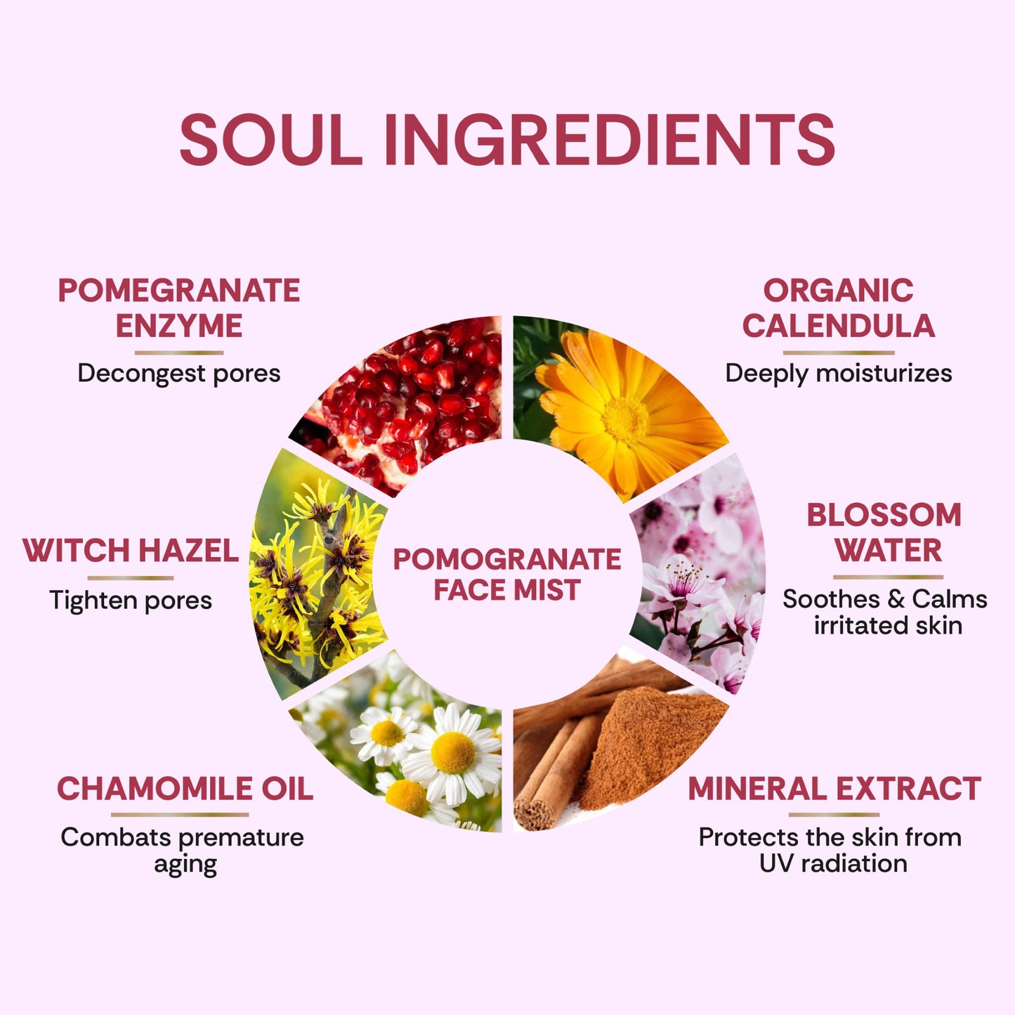vedic valley pomegranate face mist
