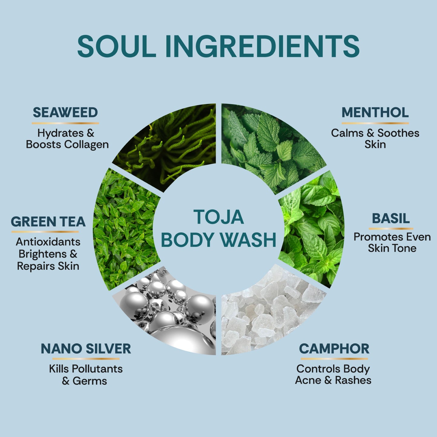 vedic valley snanam toja body wash