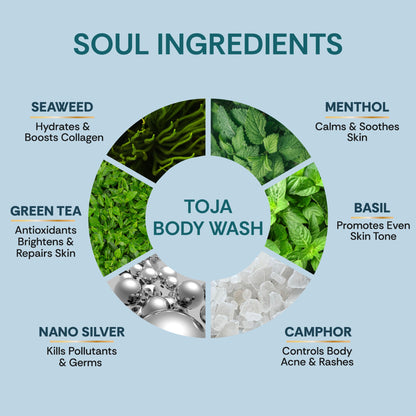 Vedic Valley Snanam Toja Body Wash