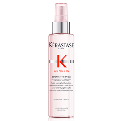 défense thermique blow-dry primer (150 ml)